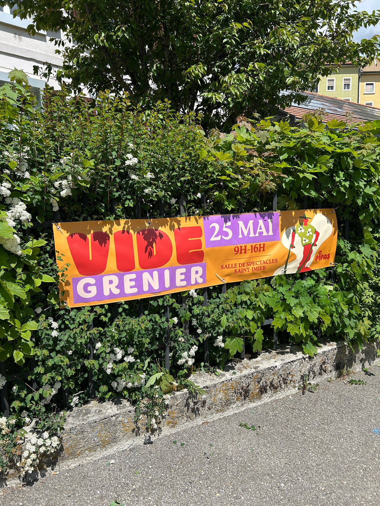 Photo PIPAS 2025 #13